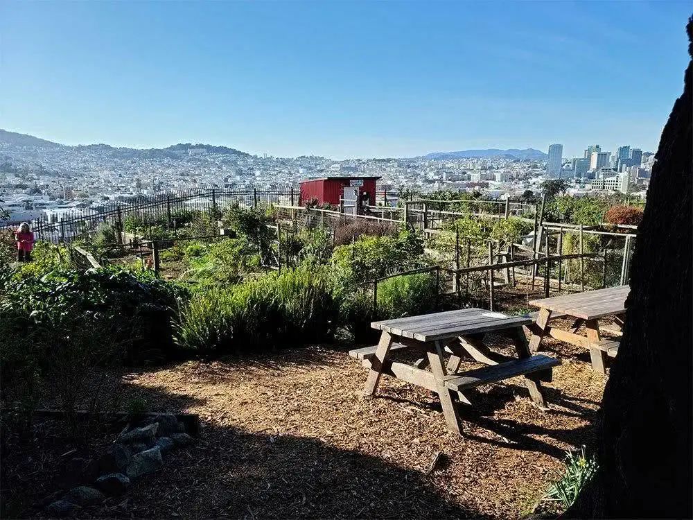 三星s20ultra相机清晰度,三星s20ultra影像