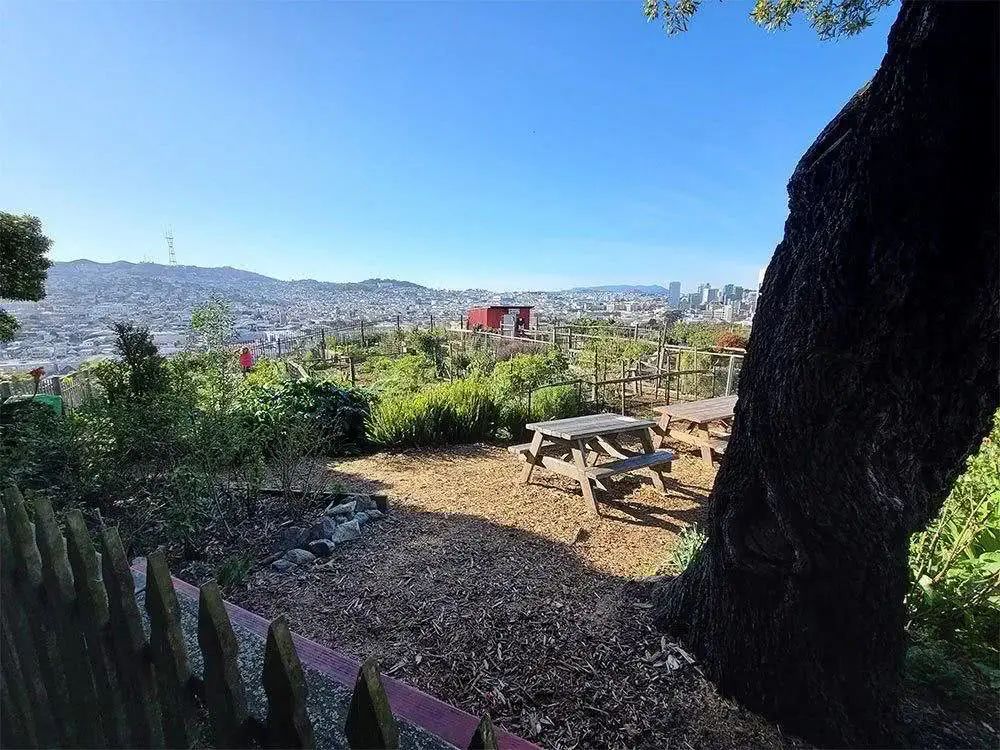 三星s20ultra相机清晰度,三星s20ultra影像