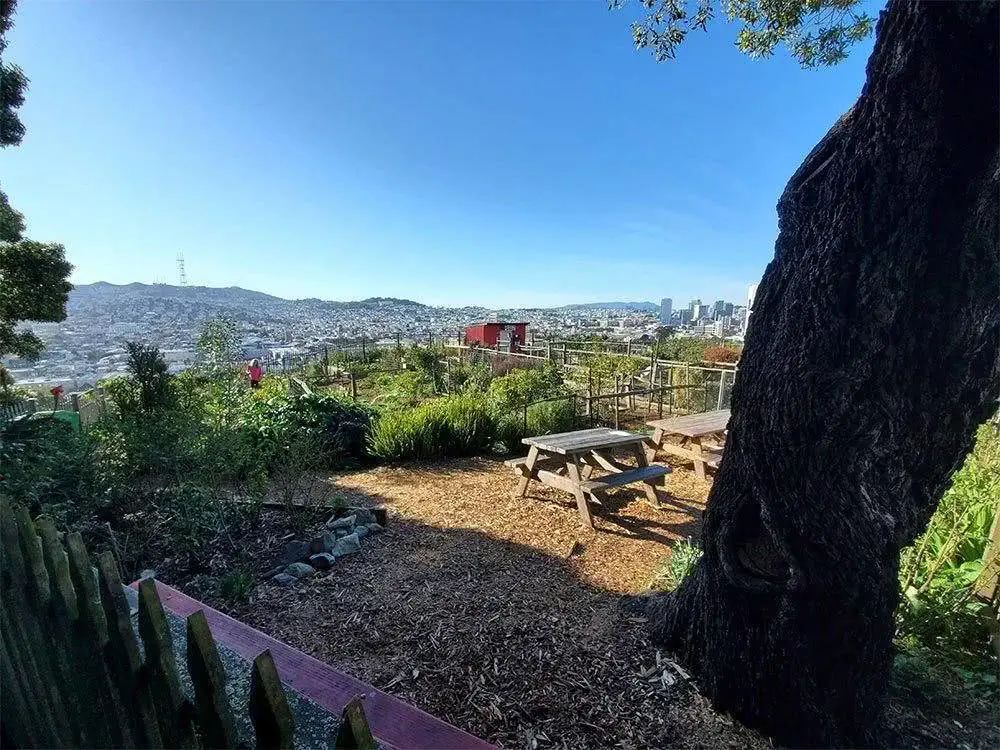 三星s20ultra相机清晰度,三星s20ultra影像