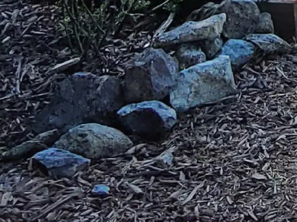 三星s20ultra相机清晰度,三星s20ultra影像