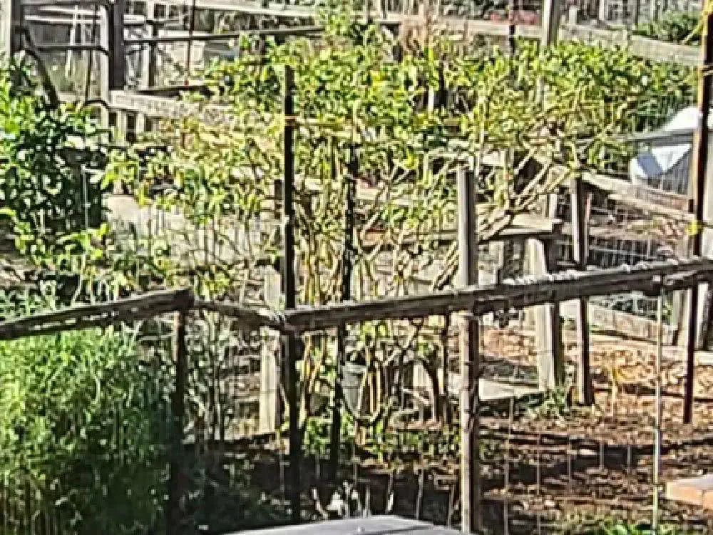 三星s20ultra相机清晰度,三星s20ultra影像