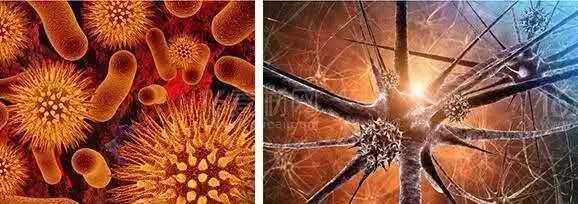 净化空气又杀菌消毒,空气净化消毒包括哪些