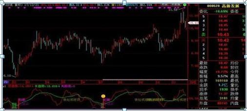 北大女博士回应炒股,北大女博士今日新闻