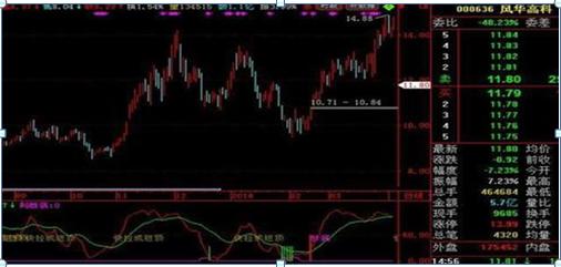 北大女博士回应炒股,北大女博士今日新闻