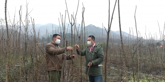 驻村第一书记不忘初心抗击疫情,桐柏县第一驻村书记