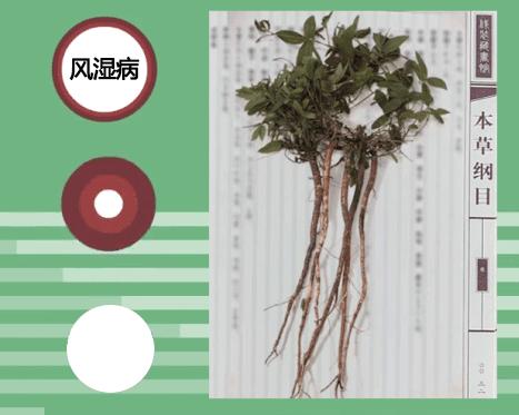 「周三爆款返场」你们要的酸痛大师台湾一条根,来喽