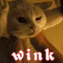 日常妆下眼睑画法,简单下眼睑眼妆画法