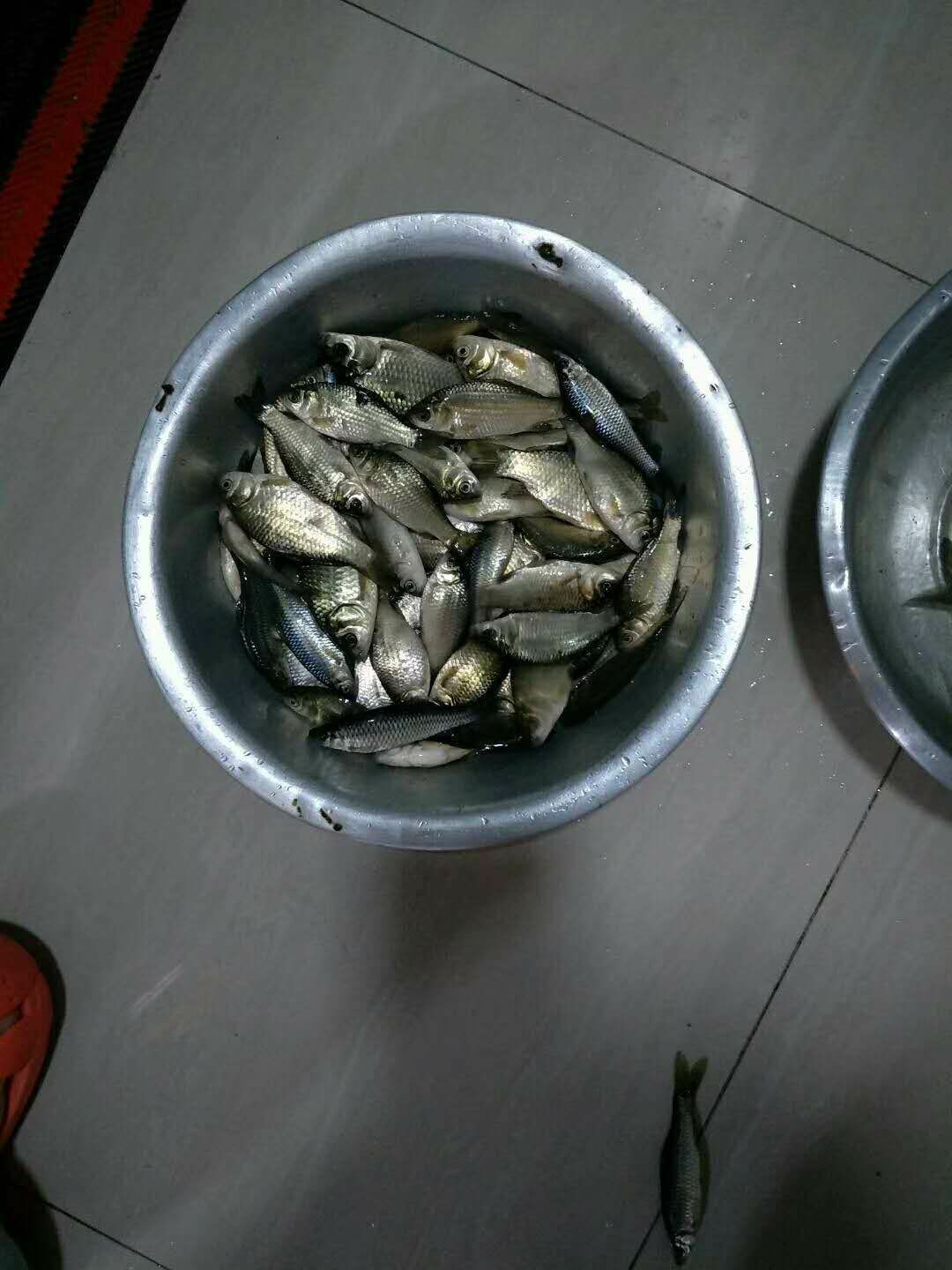 女神节最强防护挑战赛,女神节之战精彩片段