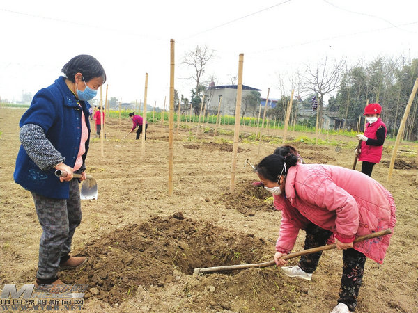 帮助农民顺利开展春耕,多措并举力保春耕