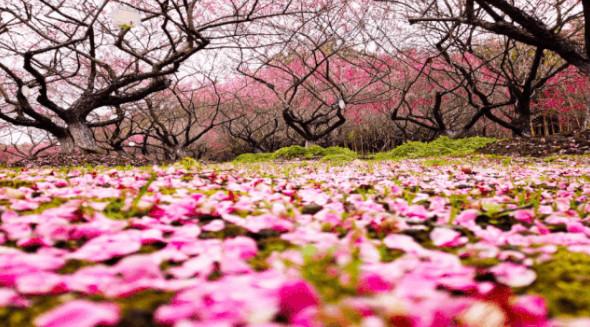 东方绿舟游玩项目要排队吗,东方绿舟最新开放时间