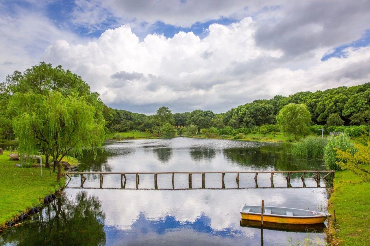 东方绿舟游玩项目要排队吗,东方绿舟最新开放时间