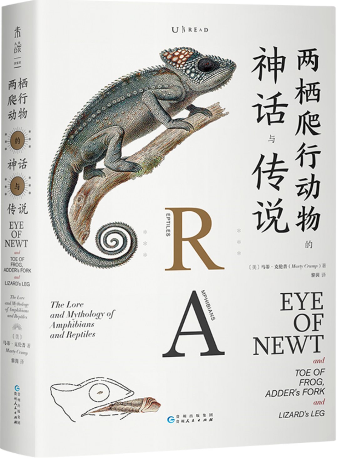 爬行动物和两栖动物有什么不同,探秘两栖动物和爬行动物的渊源