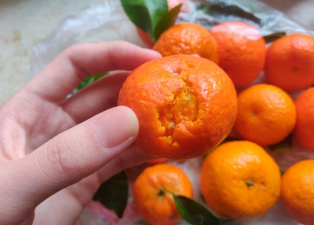 疫后生鲜电商现状,疫情下生鲜电商发展的原因