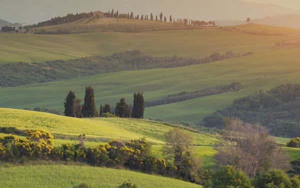 一瓶柑橘香，伴你入睡、助你好眠