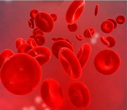 国际肾脏病最新消息,世界肾脏日义诊新闻稿