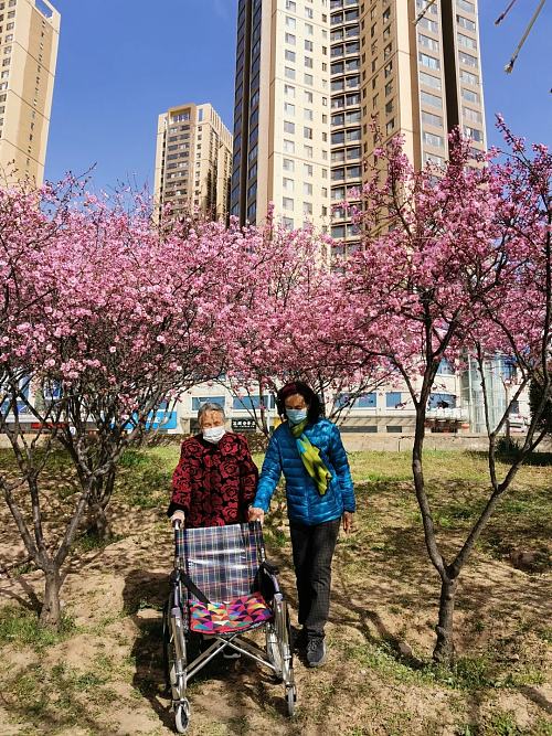 春风十里咸阳湖,花红柳绿渭水清