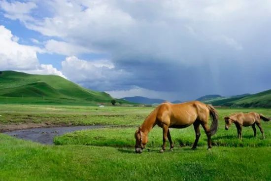 适合自驾游的天路,3天2夜自驾游最美天路