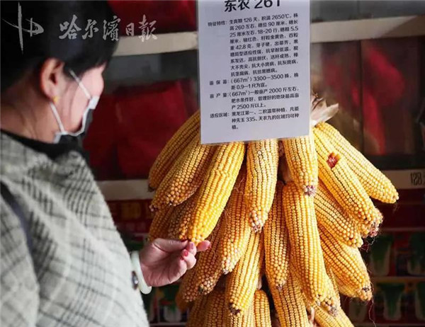 春耕生产农资送上门服务到田间,春播玉米种子开始送货