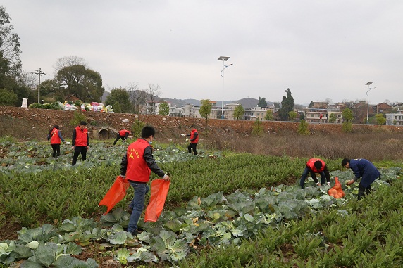好人好事好风景——永兴县好人协会抗疫纪实