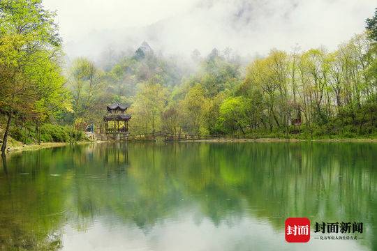 二郎山喇叭河景区8月需要预约吗,二郎山喇叭河7月开放不