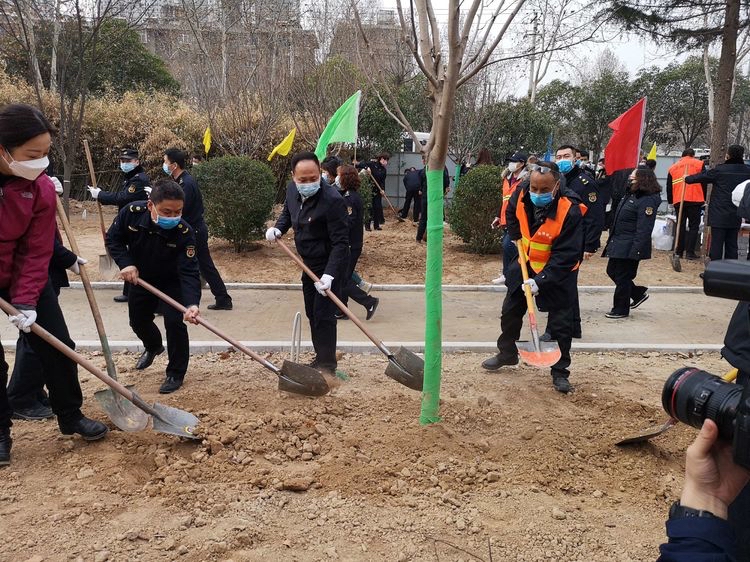 莲湖区植树增绿,莲湖区积极开展义务植树活动