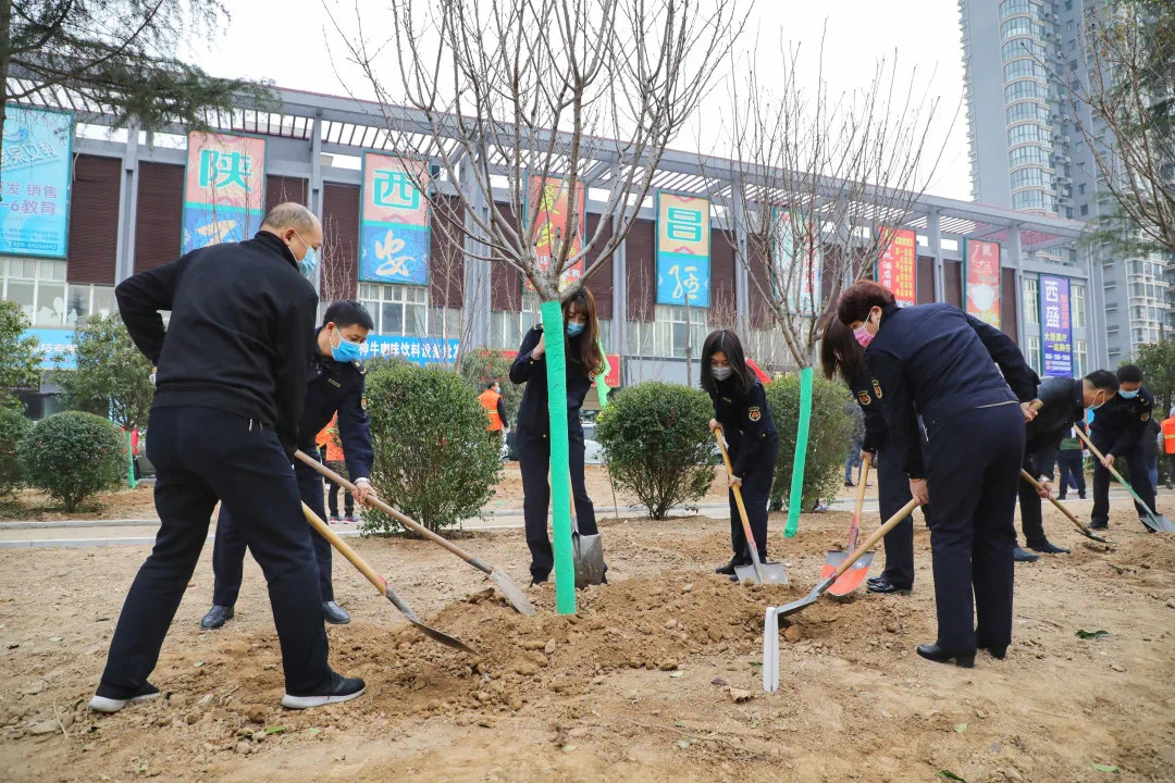 莲湖区植树增绿,莲湖区积极开展义务植树活动