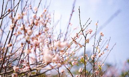 滁州市将迎大范围降雨降温天气,滁州雨雪低温天气再次来袭