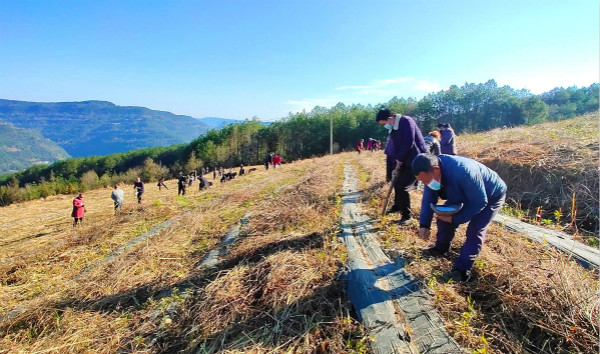 战疫扶贫两不误复工复产勇担当,乡村疫情防控复工复产两手抓