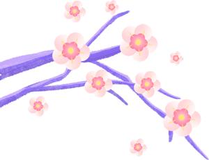 最美社区妇女工作者事迹,最美巾帼奋斗者基层干部