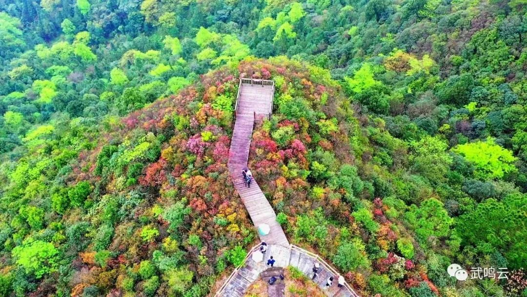 南宁大明山景区游玩攻略,叮咚攻略第一名
