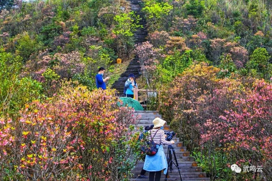 南宁大明山景区游玩攻略,叮咚攻略第一名