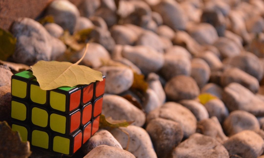 大家的青春原唱,大家的青春扬名立万