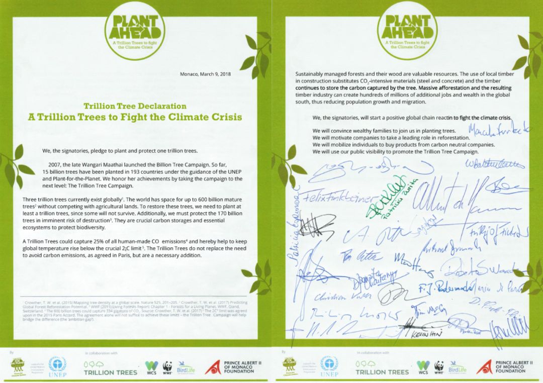 全球变暖种树有用吗,种树可以阻止全球变暖吗