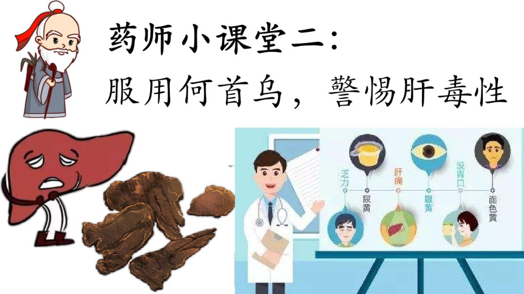 首乌乌发美名传，药师提醒小心肝！