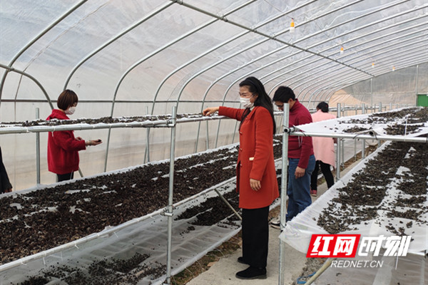 扶贫故事丨唐艳华:把时间留给村民的扶贫女队员