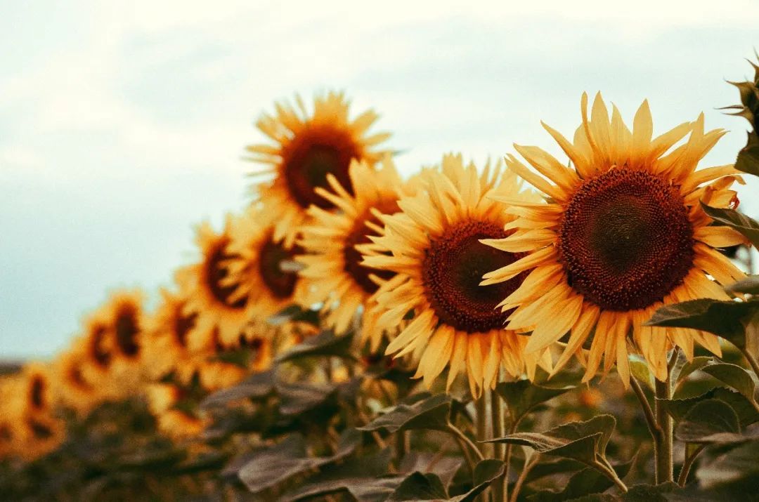 哄女孩子开心的话幽默段子,10个幽默小段子专治你的不开心