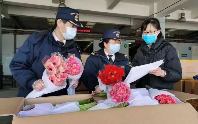 中国海关抗疫,中国海关防控疫情