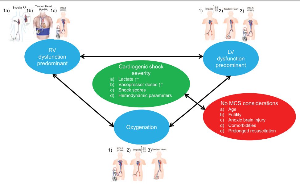 心梗引起的心源性休克,急性心梗合并心源性休克