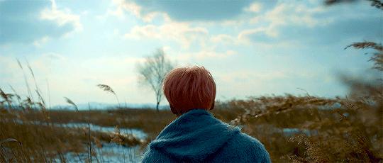 寻香|五彩斑斓的黑算什么，来见识一下五光十色的白