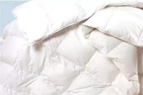 寻香|五彩斑斓的黑算什么，来见识一下五光十色的白