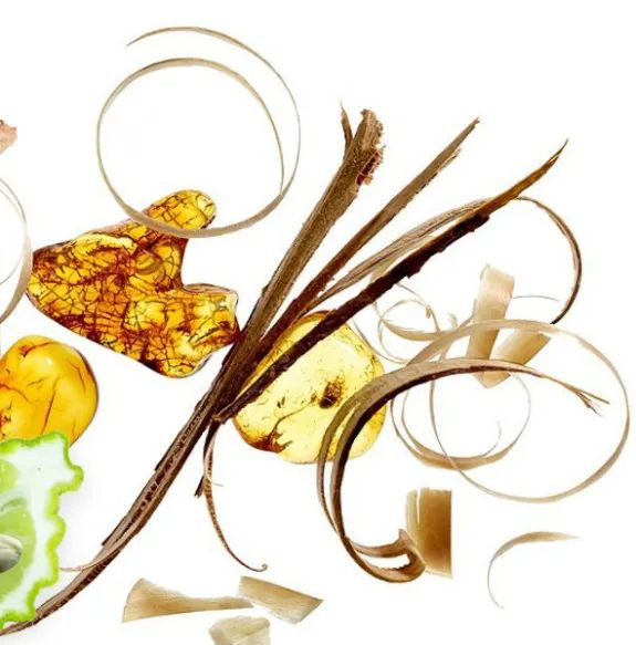 寻香|五彩斑斓的黑算什么，来见识一下五光十色的白