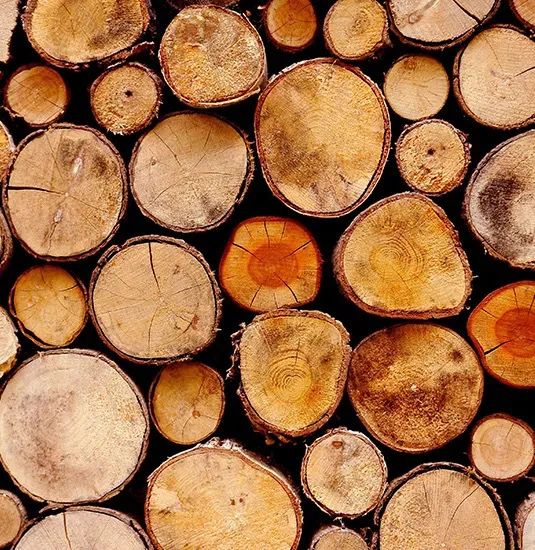 寻香|五彩斑斓的黑算什么，来见识一下五光十色的白