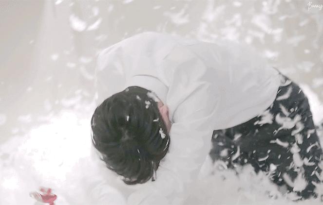 寻香|五彩斑斓的黑算什么，来见识一下五光十色的白