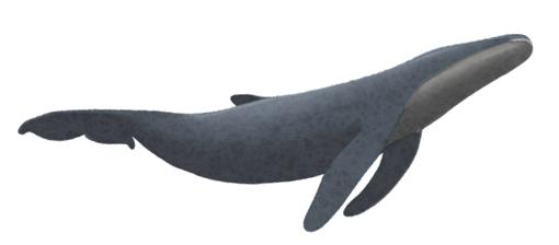 代写论文这十年：灰色产业里的黑吃黑，远比你想得多丨人间