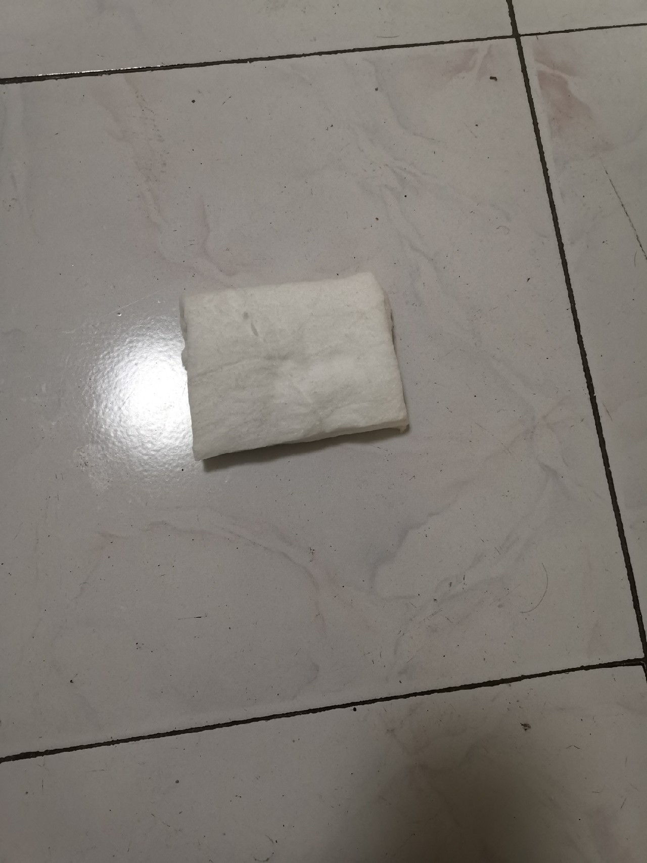 红虫在保鲜盒里面能活多久,存放大红虫用什么样的保鲜盒