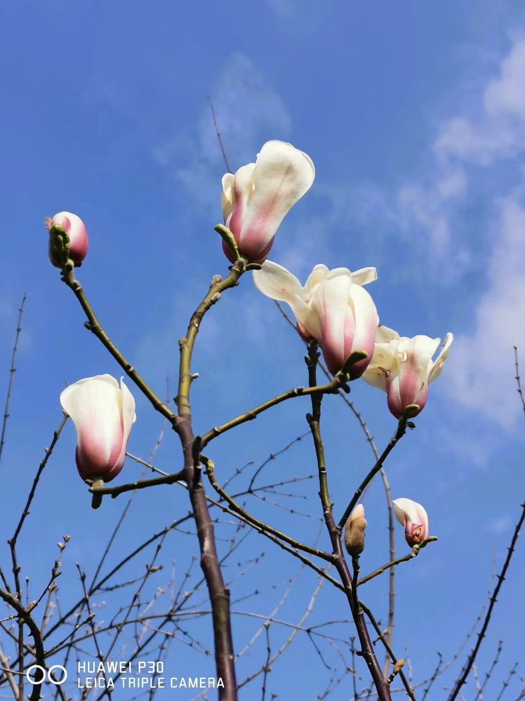 红虫在保鲜盒里面能活多久,存放大红虫用什么样的保鲜盒