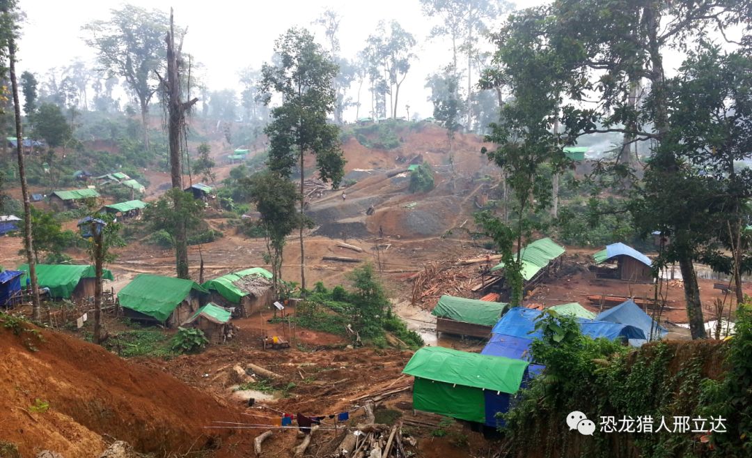 世界上最小的恐龙蛋,世界上最小的恐龙化石