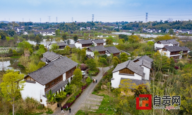 不负*光春**不负卿自贡春季赏花攻略来啦