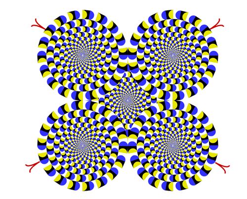 看了这些动图是不是想恋爱了,看了之后脑子很舒服的画面