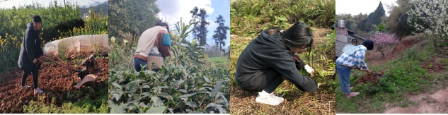 做好防疫工作的三件事,四川宜宾防疫最新政策